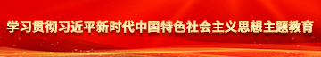 口爆抠屄学习贯彻习近平新时代中国特色社会主义思想主题教育